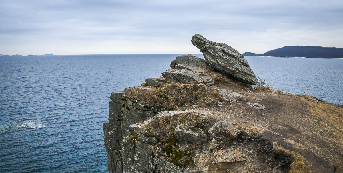 Описание изображения